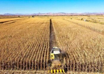 Gıdamız savaş bölgesinden