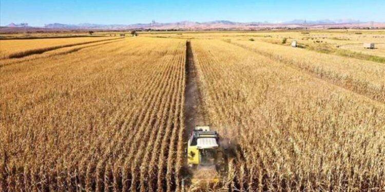 Gıdamız savaş bölgesinden