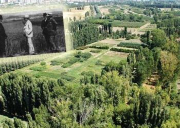 Can Atalay’ın tahliyesine ret… Avukat Deniz Özen: Bakanın beyanı karar oldu