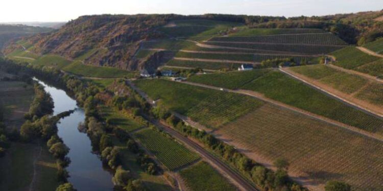 Erdoğan imzaladı: Eğitime zam engeli