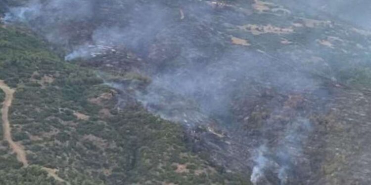 Çanakkale’de orman yangını