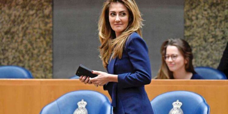 Büyüklerin düşler dünyası