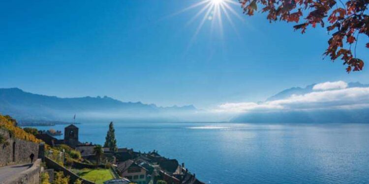Yeşilgöz yeni başbakan olabilir