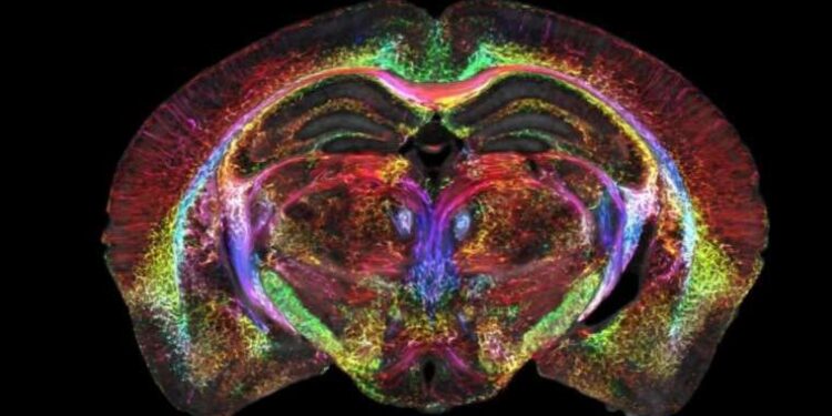 Berkeley araştırmacıları, insan derisi gibi kendi kendini iyileştiren metal alaşımı geliştirdi