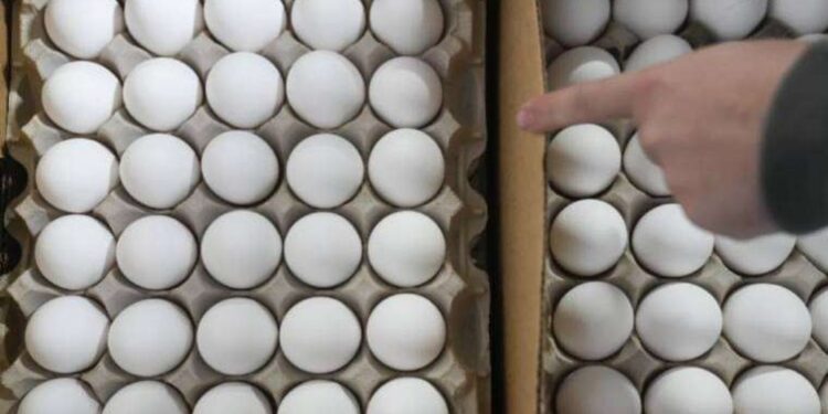 Antibiyotikli yumurta krizi