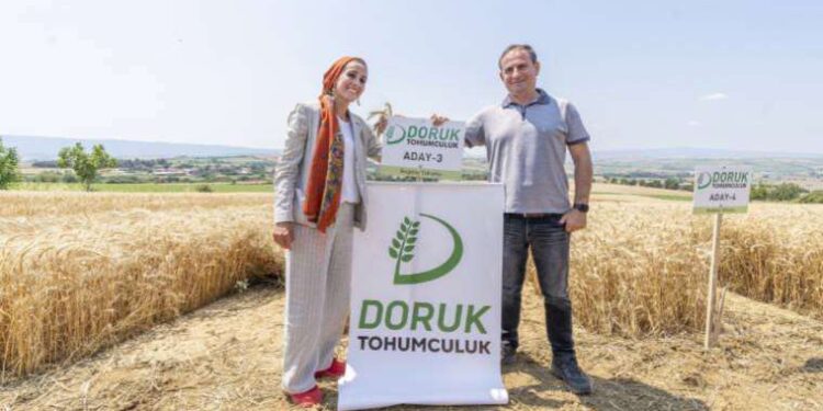 'Çiftçiye kazandırıp ihracat yapmalıyız'