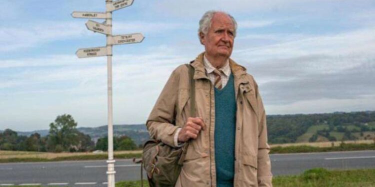 Vitrindeki albümler