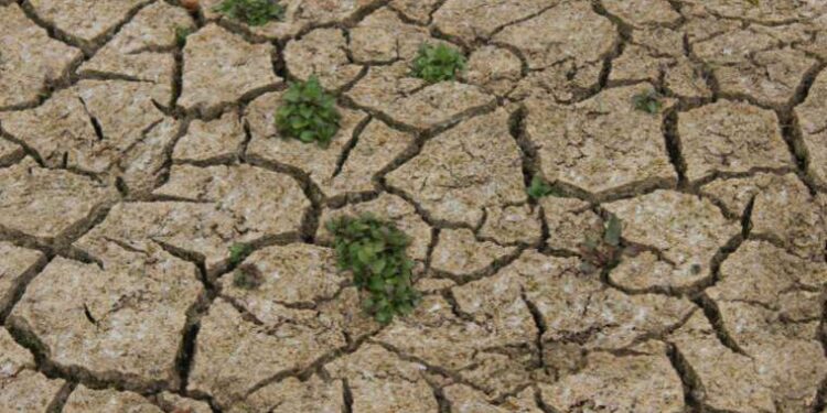 Hidrobiyolog Dr. Erol Kesici'den 'kuraklık' uyarısı: İklime göre ürün seçilmeli