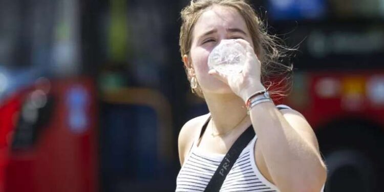 Tarım Orman-İş Başkanı Şükrü Durmuş: Dertleri yangın söndürmek değil