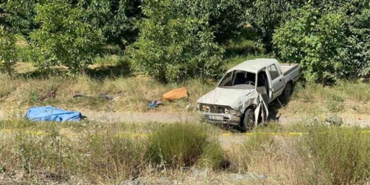 Şarampole devrilen kamyonette yaşlı çifti ölüm ayırdı