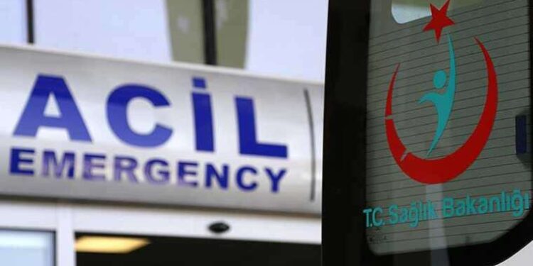 46 bin yıldır uykuda olan bir canlı türü diriltildi