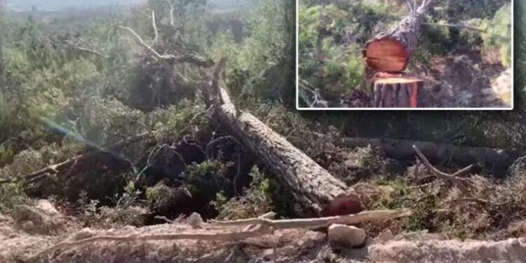 Sarıyer İzzet Baysal Huzurevi’nde yangın paniği: 1 kişi dumandan etkilendi