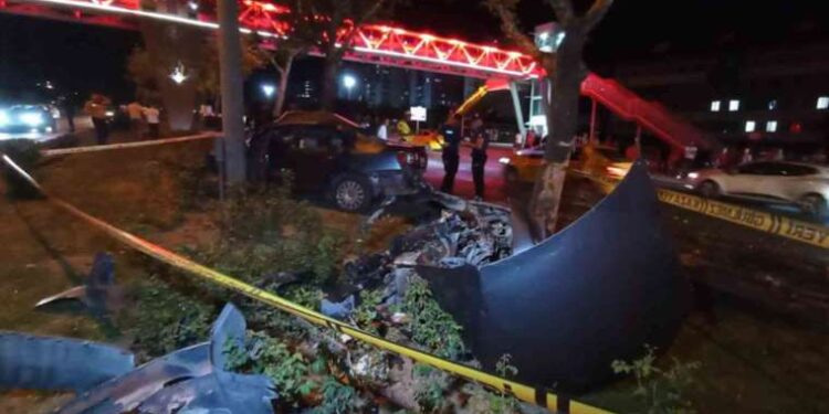 Bunun adı doğa katliamı! İşte Akbelen’in son hali…