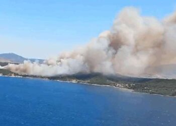 Bakan Koca'dan İzmir Menderes'teki orman yangınından etkilenenlerin sağlık durumuna ilişkin açıklama