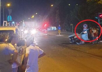 Porto Riko’daki erkek maymunların dişilerden çok birbiriyle çiftleştiği keşfedildi