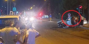 Porto Riko’daki erkek maymunların dişilerden çok birbiriyle çiftleştiği keşfedildi