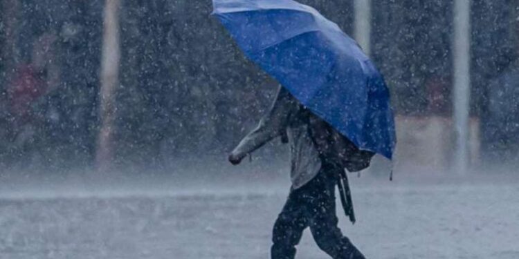 Son Dakika: Erzincan’da şarampole devrilen minibüsteki 4 kişi öldü, 10 kişi yaralandı