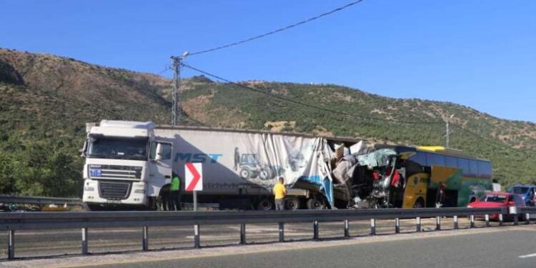 Doğum yapmış köpeği av tüfeği ile vurarak öldürdüler