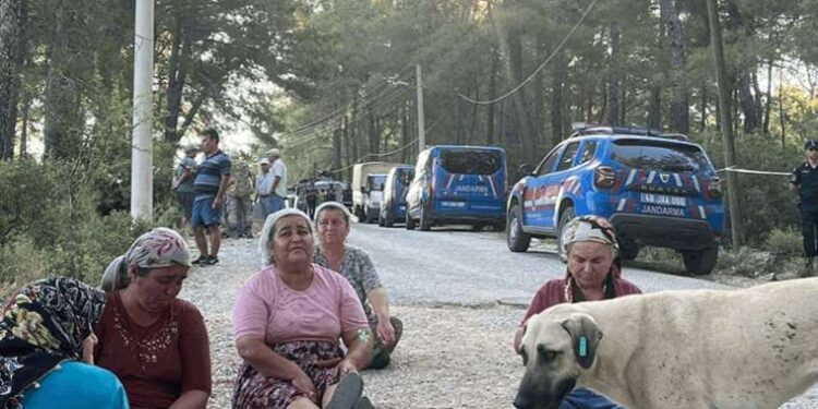 Beklenmeyen sonuç: Metaller kendi kendilerini onarabiliyor