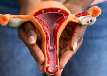 Niğde’de otomobil yayaya çarptıktan sonra yandı: 3 ölü