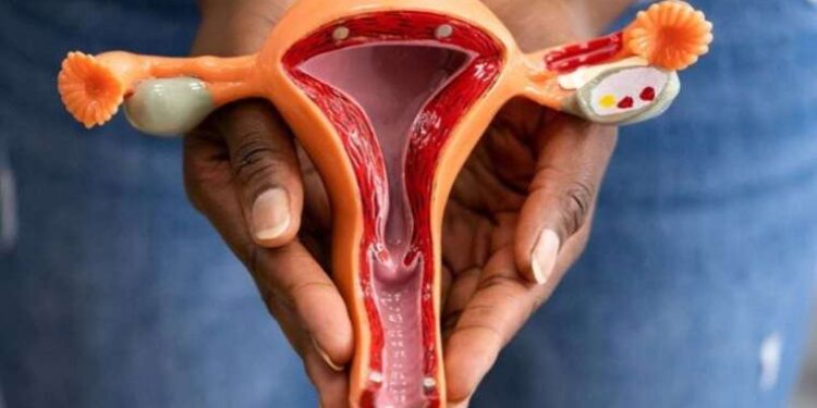 Niğde’de otomobil yayaya çarptıktan sonra yandı: 3 ölü