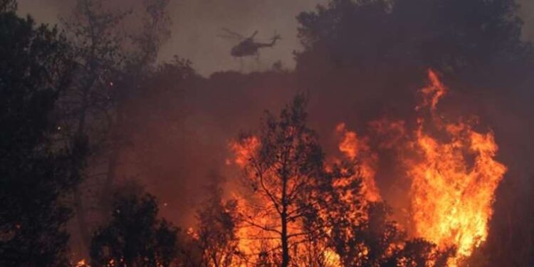 Rodos'tan sonra Korfu'da da yangın çıktı
