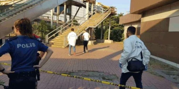 Musk, ChatGPT’ye rakip olacak yeni bir yapay zeka girişimi başlattı