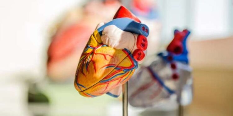 Aort yırtılması nedir? Aort yırtılması nasıl oluşur? Aort yırtılmasının belirtileri nelerdir?