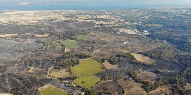 Çanakkale’de 3 bin 500 futbol sahası büyüklüğünde alan kül oldu