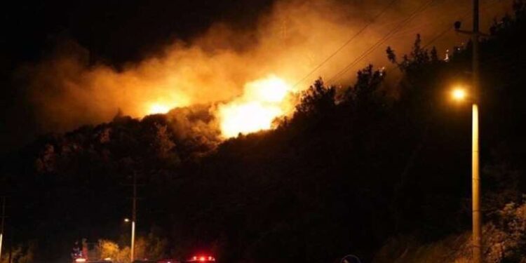 Muğla'daki orman yangını 12 saatte kontrol altına alındı: 1 gözaltı