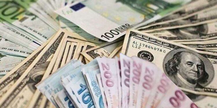 Dolar ve Euro ne kadar oldu? 24 Temmuz 2023 döviz fiyatları