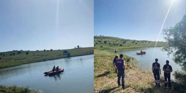 Gen düzenlemesiyle yüksek verimli ağaç yetiştirildi