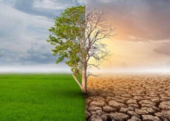 İklim krizi gıdaların sofradan eksilmesine neden olabilir