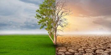 App Store tarafı için de zam geliyor! İşte detaylar