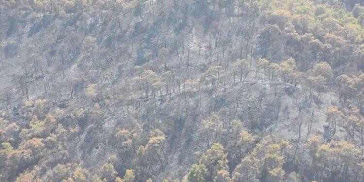 5 ildeki 12 yer ‘kesin korunacak hassas alan’ olarak ilan edildi