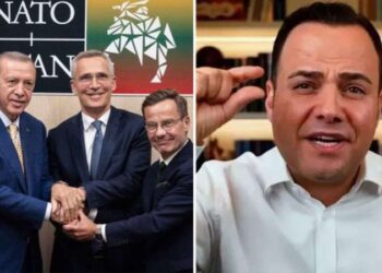 Erdoğan'ın 'İsveç' kararının ardından Özgür Demirtaş'tan dikkat çeken paylaşım: 'Şimdi etrafta bir tane bile Ak trol yok...'