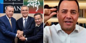 Erdoğan'ın 'İsveç' kararının ardından Özgür Demirtaş'tan dikkat çeken paylaşım: 'Şimdi etrafta bir tane bile Ak trol yok...'