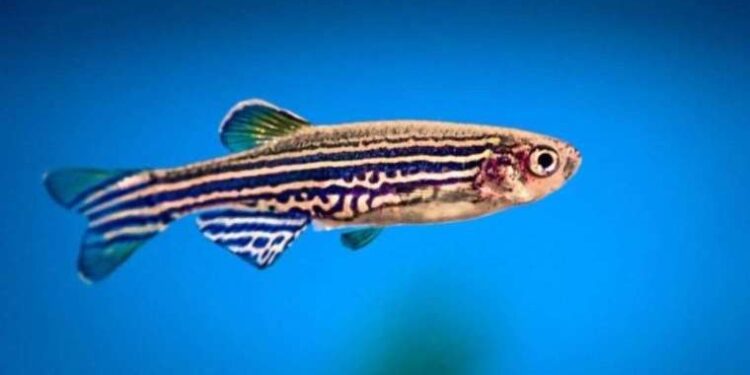 Dolar ve Euro ne kadar oldu? 16 Haziran 2023 döviz fiyatları