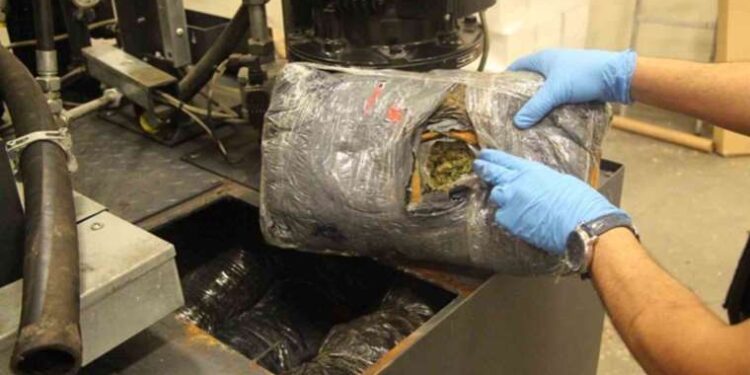 Altekma’dan petank turnuvası