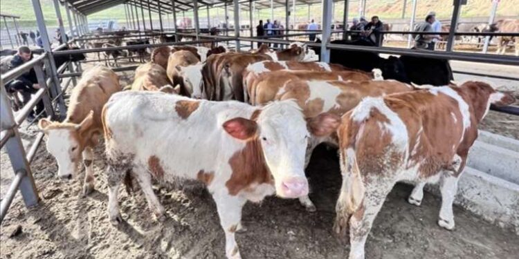 NASA’nın Ay’a gidecek astronotlarına özel araçları tanıtıldı