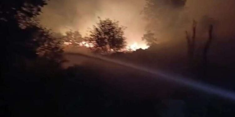 Ankara Büyükşehir’in restorasyonunu tamamladığı türbeler ziyarete açıldı