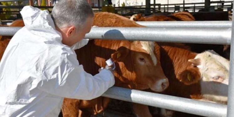 Tişörtsüz spor yapan erkekler güvenliğe şikayet edildi: ‘Canın mı çekiyor birader bizi?’