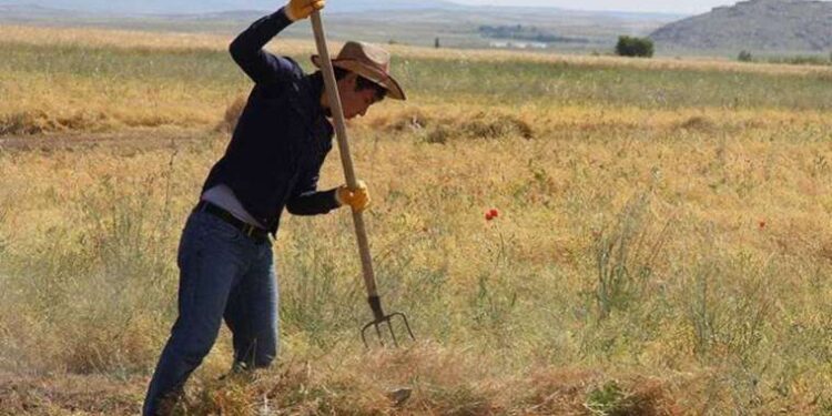 Kocaeli’nde içi yolcu dolu otobüste dehşet anları: Yolcu almak için durdu, kurşunlandı
