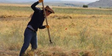 Tarımda üretici enflasyonu yıllık ortalama yüzde 110 arttı!