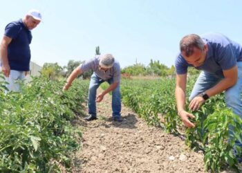 Elektrik kabloları havai fişek gibi patladı: Mahalle 1 saat karanlığa gömüldü