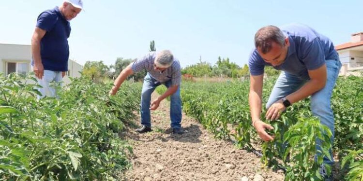 Elektrik kabloları havai fişek gibi patladı: Mahalle 1 saat karanlığa gömüldü