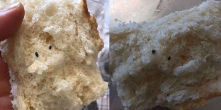 Açık denizde sürükleniyorlardı: Ayvalık açıklarında 13 kaçak göçmen kurtarıldı
