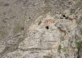 Tunceli’de bulundu: Bölgede başka bir örneği yok