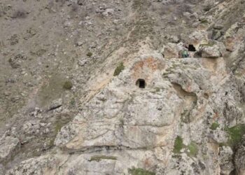Tunceli’de bulundu: Bölgede başka bir örneği yok
