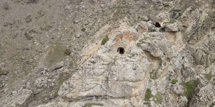 Tunceli’de bulundu: Bölgede başka bir örneği yok